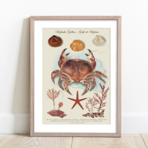 Nuria Hernández Pintor