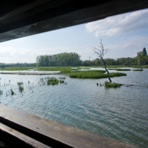 SALBURUA-JJQF_3940-QUINTAS